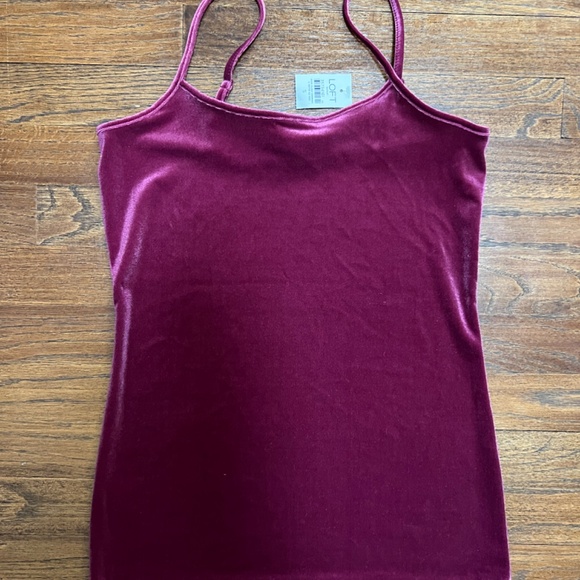 2 (TWO)Ann Taylor Velvet Tanks - Picture 3 of 7